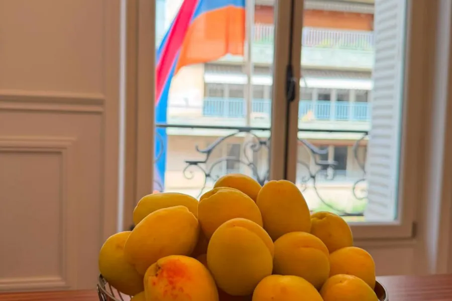 Erməni ərikləri Rusiya bazarını tərk etdi: “Bonjour, Paris!”