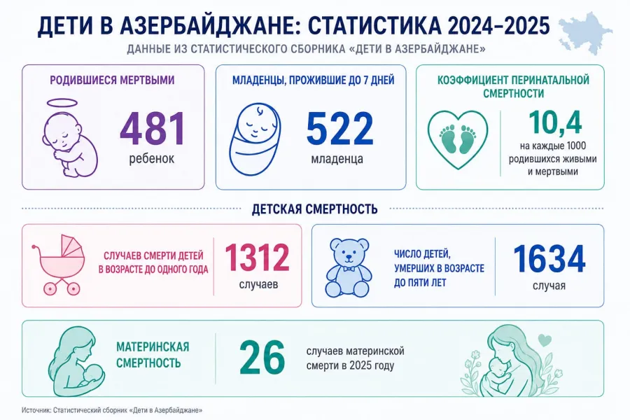 В прошлом году в Азербайджане родился мертвым 481 ребенок