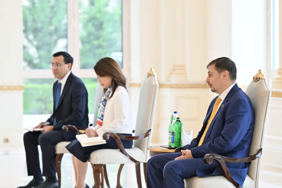 Prezident BMT-nin yeni təyin olunmuş rezident əlaqələndiricisini qəbul etdi — 2