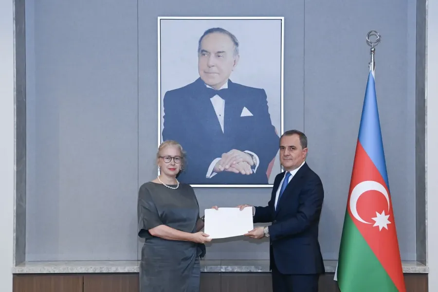 Azerbaijan, Sweden discuss bilateral ties and regional security — 1