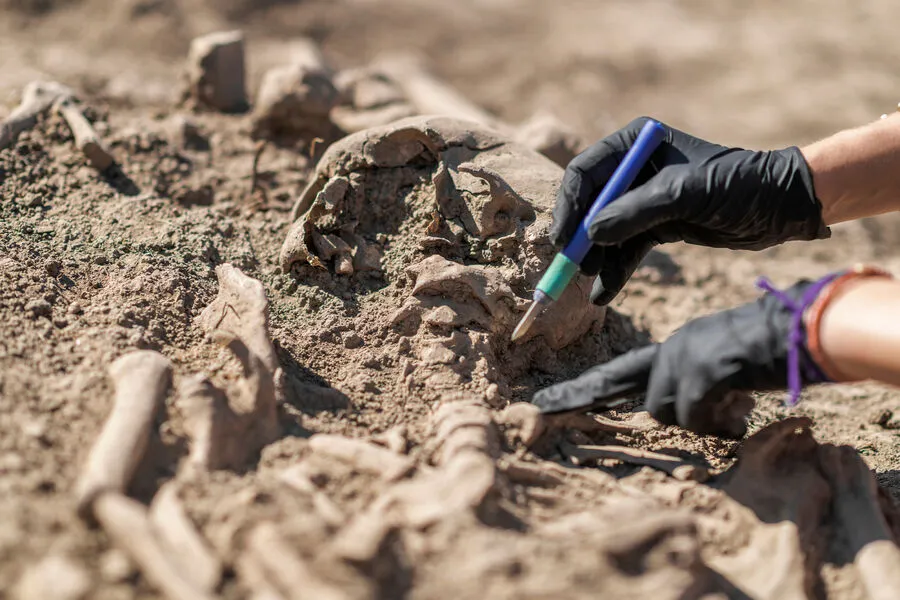Finland discovers largest silver coin hoard in the country’s history