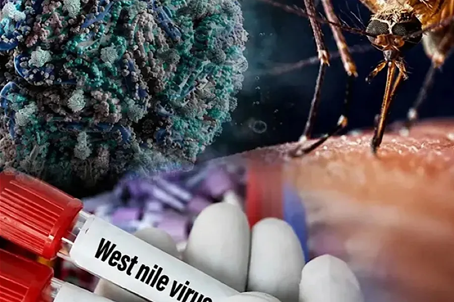 Səssiz dalğa Yunanıstanı bürüyür - Qərbi Nil virusundan 319 yoluxma