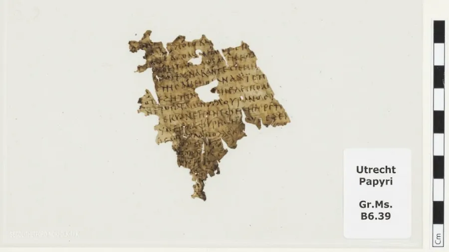 Раскрыта 1700-летняя тайна: в старинной библиотеке найдена утерянная часть «Одиссеи»