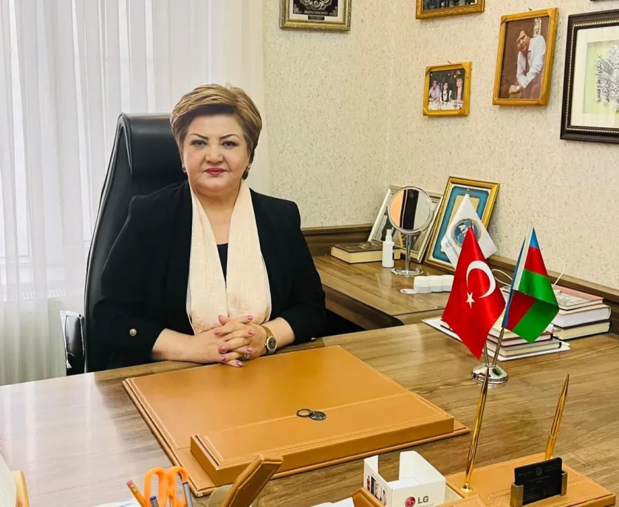 Tıxaclarla sanki Prezidentin uğurlu siyasətinə kölgə salırlar - Millət vəkili — 1