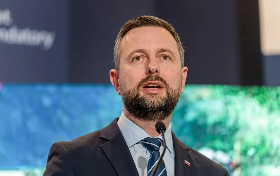 Польша не создает наемную армию в Украине, но...