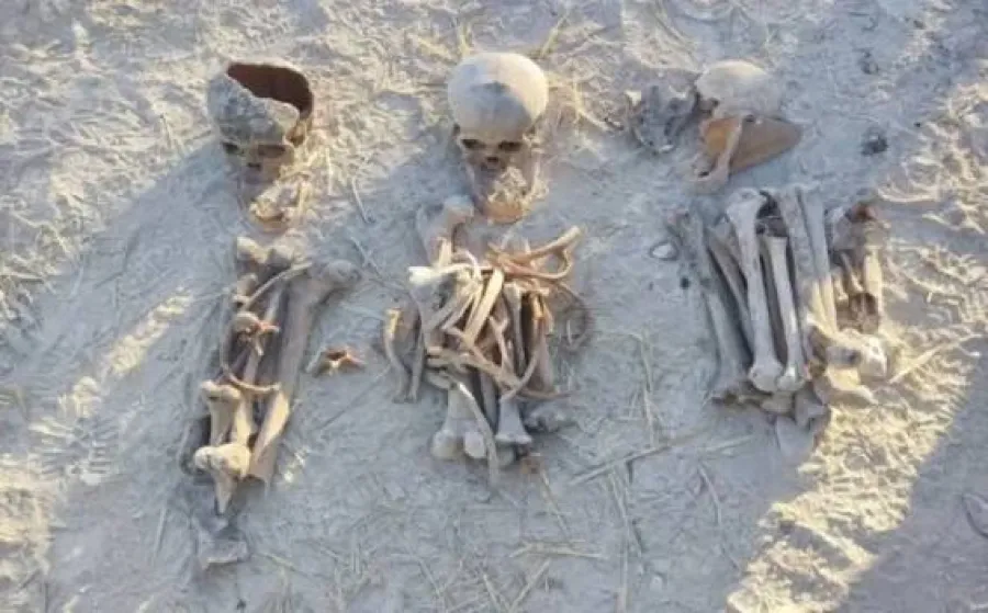 В Карабахе обнаружены человеческие останки, принадлежащие еще 16 лицам
