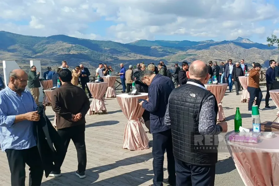 İtkin düşmüş şəxslərlə bağlı konfransın iştirakçıları Laçında