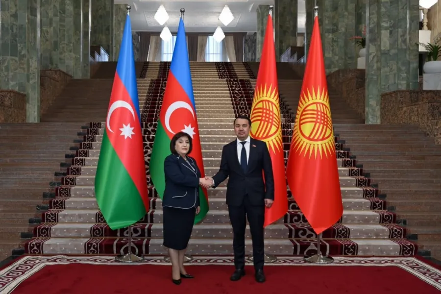 Sahibə Qafarova Qırğızıstan parlamentinin sədri ilə görüşdü - FOTO