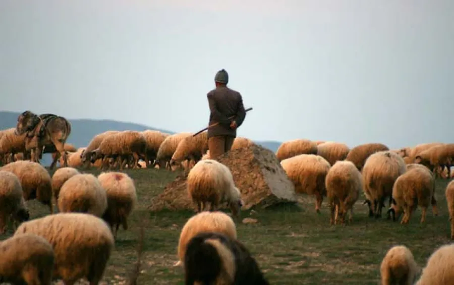 Azərbaycanlı çoban Ermənistana keçdi