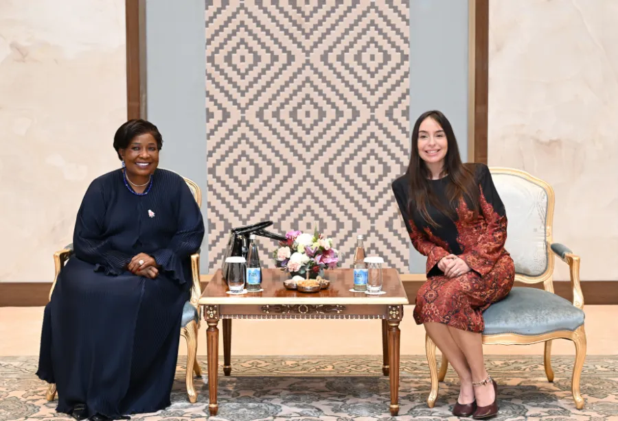 Leyla Əliyeva Zimbabvenin birinci xanımı ilə görüşdü